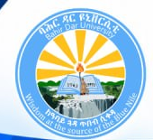 Bahir Dar University logo